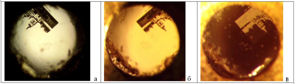 Рис. 3. Микрофотографии в кресте №2. А - снимок сделан с лицевой стороны креста через инвертированный биологический микроскоп. Б, В - снимки сделаны с оборотной стороны креста через стереоскопический микроскоп.