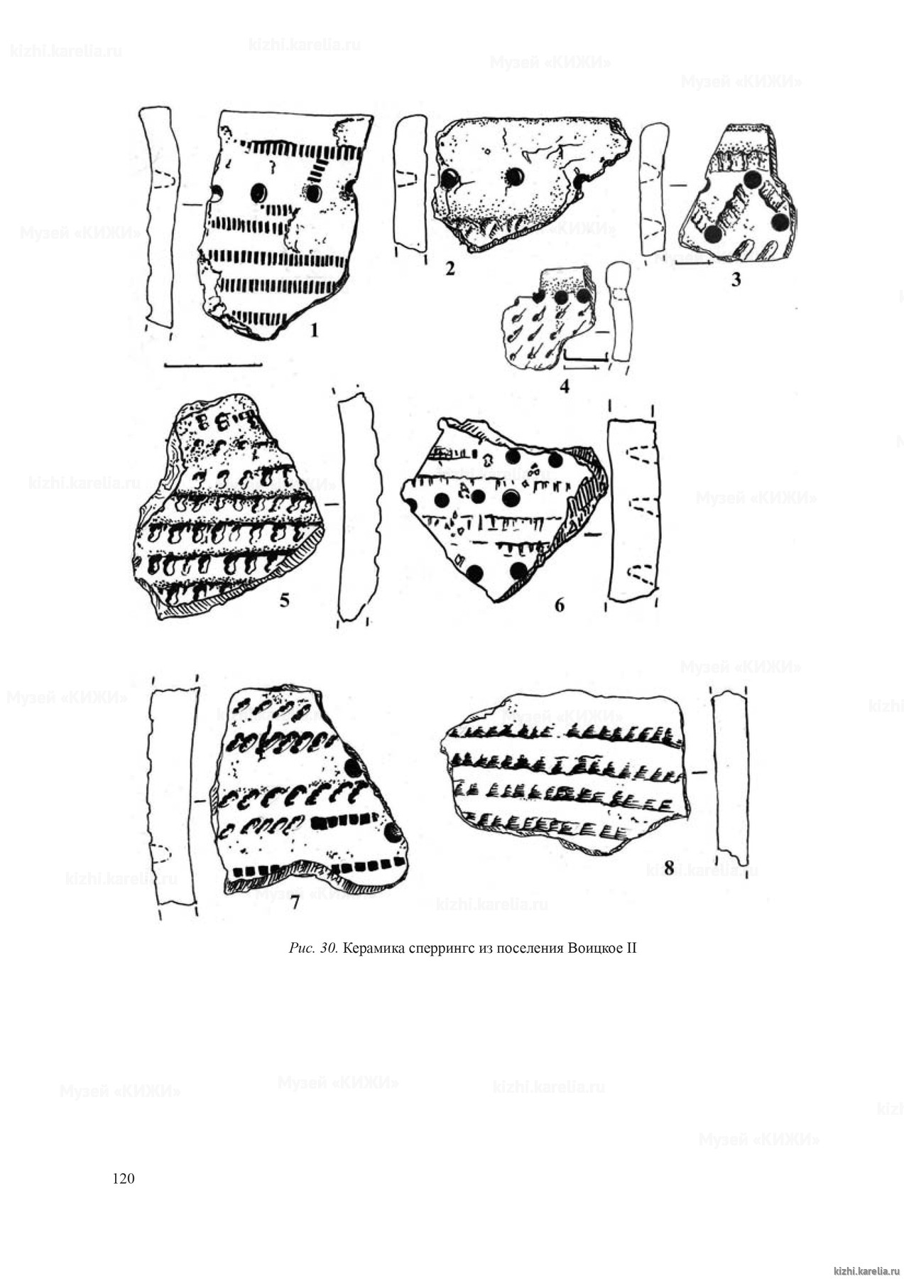 Рис. 30. Керамика сперрингс из поселения Воицкое II