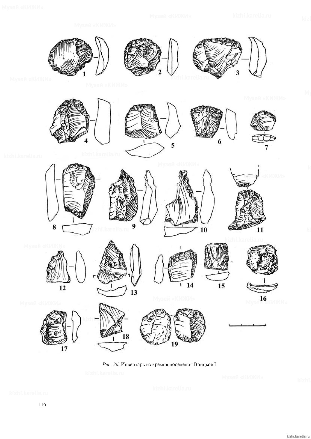 Рис. 26. Инвентарь из кремня поселения Воицкое I