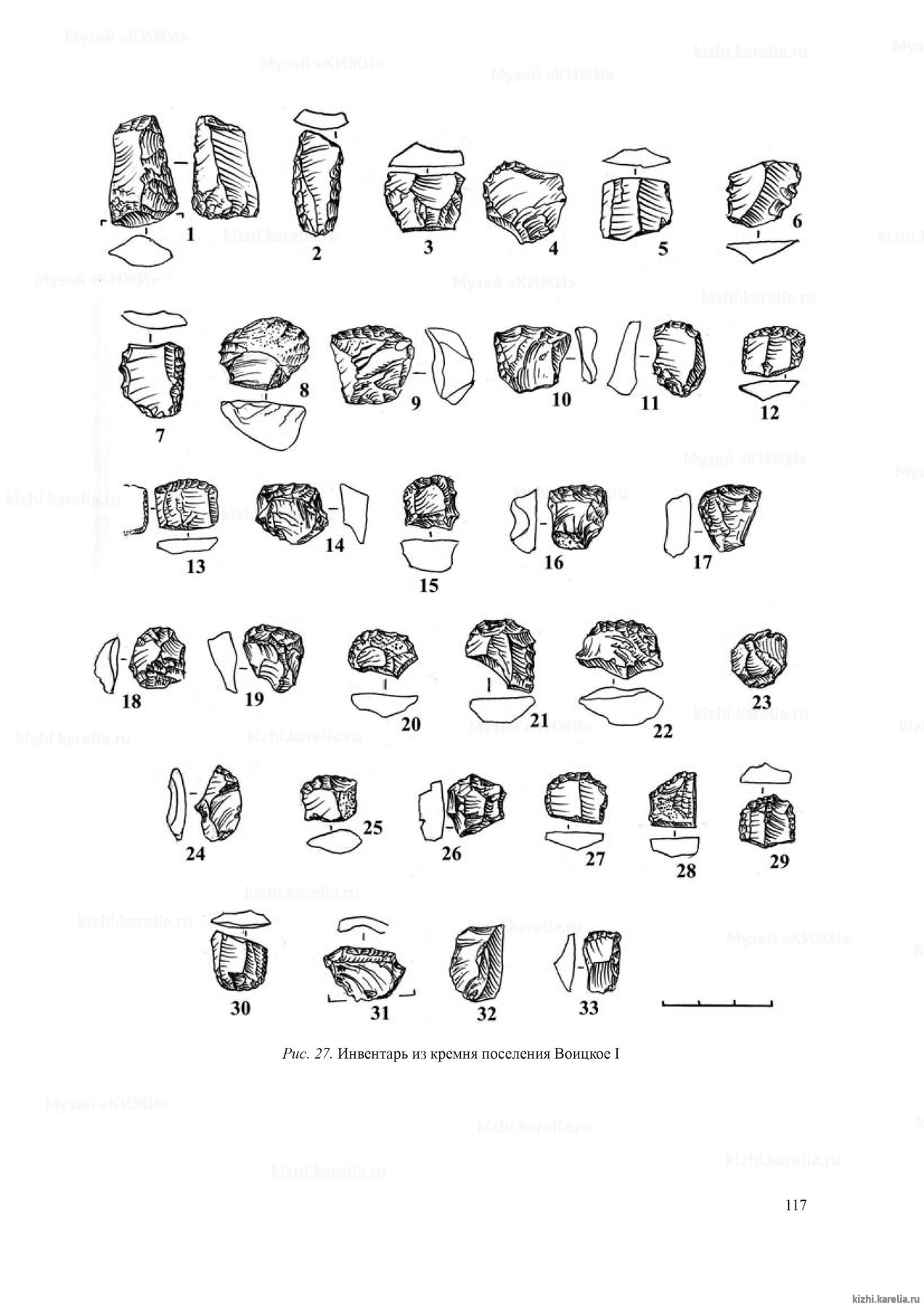 Рис. 27. Инвентарь из кремня поселения Воицкое I