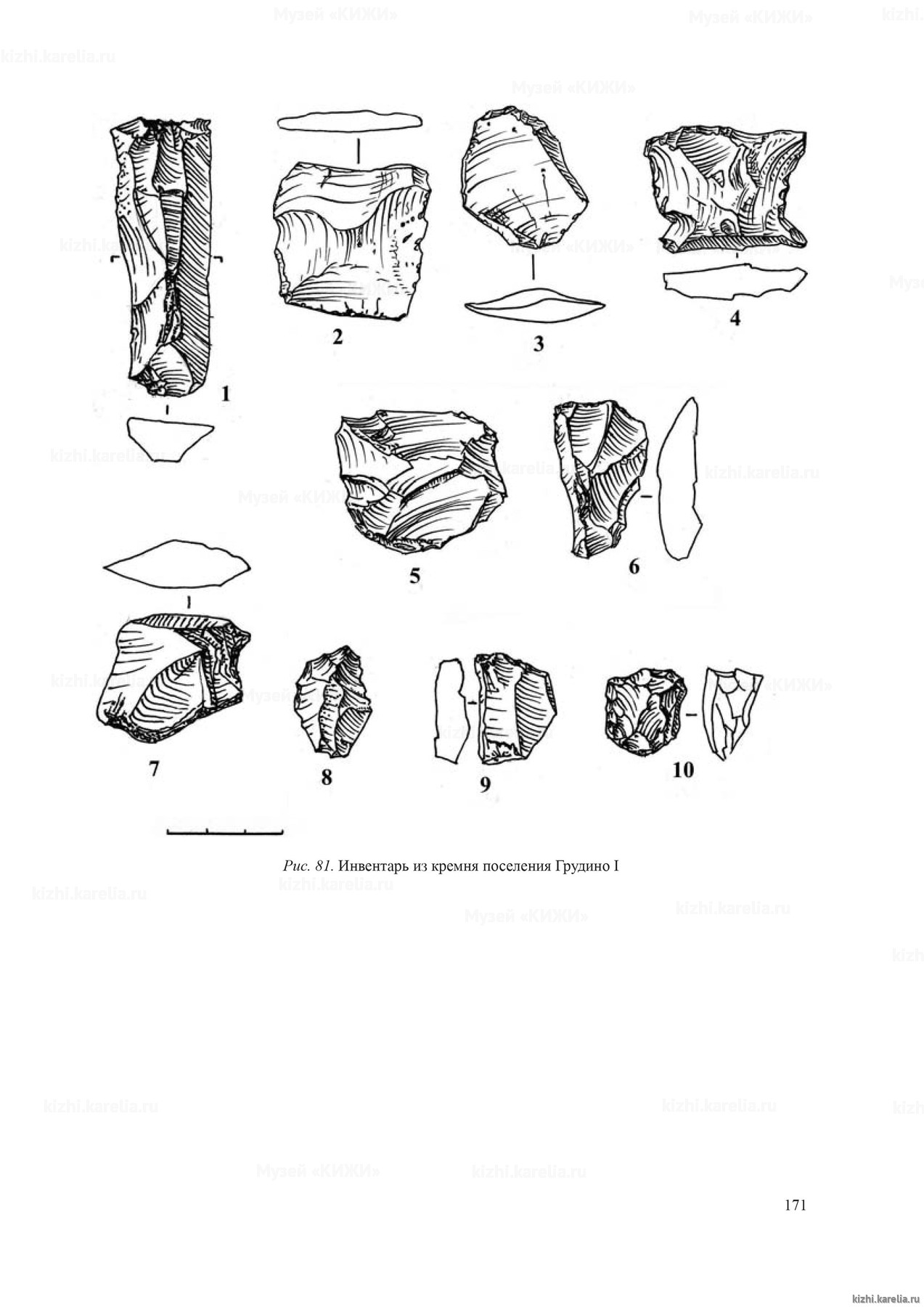 Рис. 81. Инвентарь из кремня поселения Грудино I