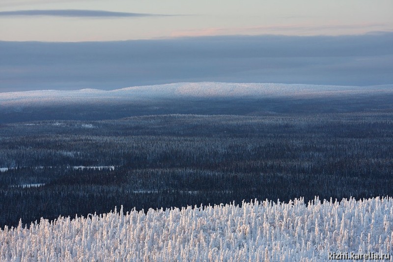 Зима. Снег