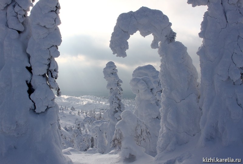 Ели в снегу, снежные фигуры