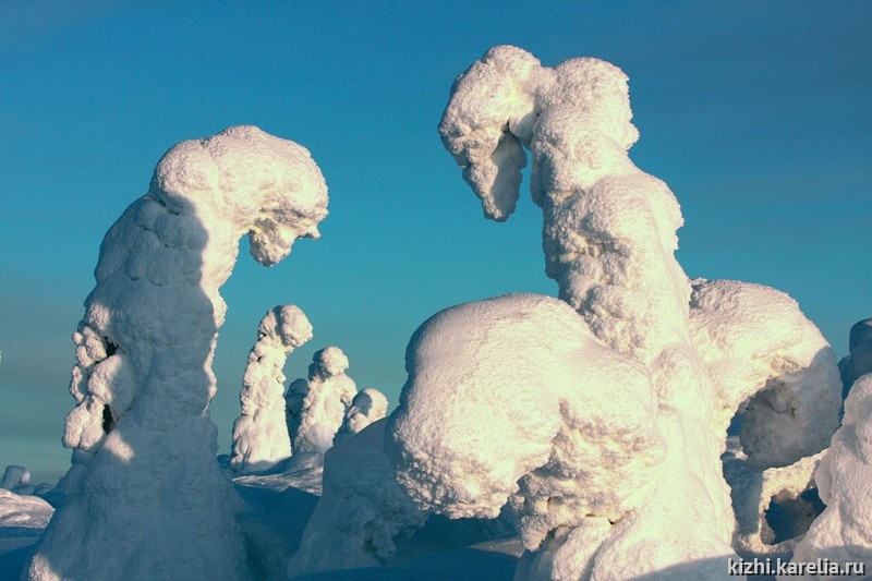 Ели в снегу, снежные фигуры