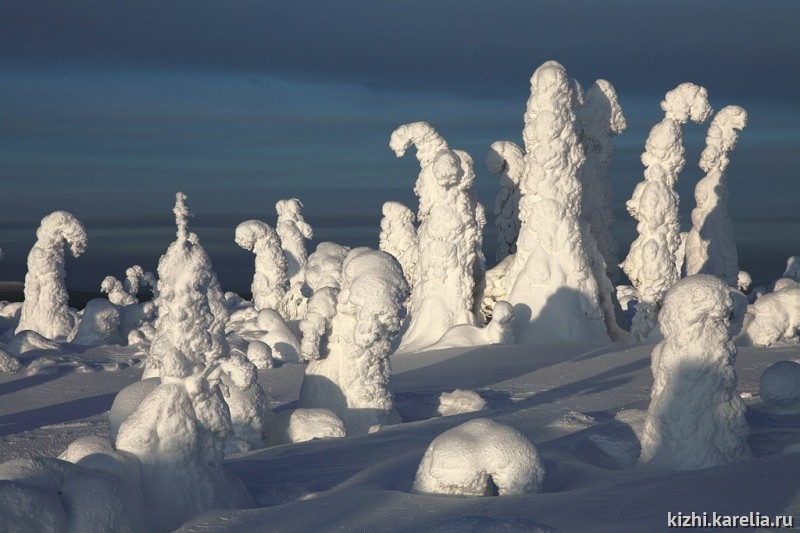 Ели в снегу, снежные фигуры