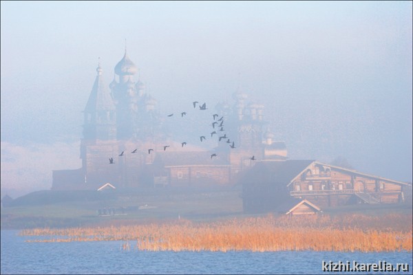 Птицы острова Кижи