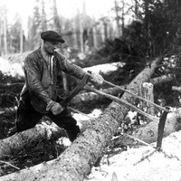 Выставка «Карелия глазами фотографов Роскиных. Времена и судьбы»