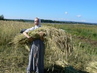 Первй сноп