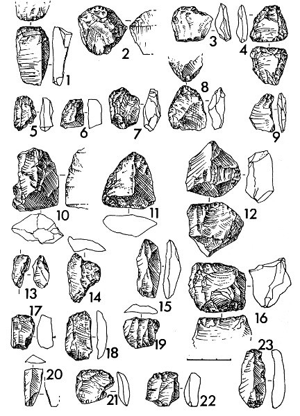 Рис.5. Каменный материал из поселения Вохмариха 2 (1-18, 23 — кварц; 19-22 — кремень