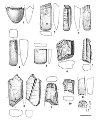 Рис.1. Вожмариха 8: 1 – лезвийная часть топора; 2, 5 – тесла; 3 – стамеска; 4 – долото; 6–8 – обломки со следами пиления; 9–10 – обломки обушной части; 11 – обломок со следами шлифования; 12 – скребок (1–11 – сланец; 12 – кремень)