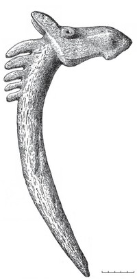 Рис. 19. Жезл в виде головы лося из оленеостровского могильника (по: Н. Н. Гуриной)