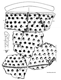 Рис.11. Образцы керамики из поселения Вожмариха 1