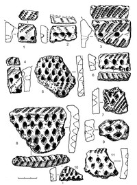 Рис.17. Образцы керамики из поселения Радколье 2 (1–4, 6–8 – гребенчато-ямочная; 5, 7–11 – ромбо-ямочная