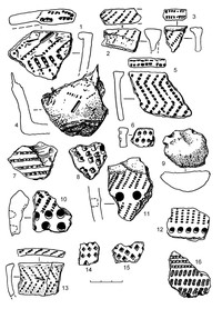 Рис.12. Образцы керамики из поселения Радколье 1 (1–5, 13 – асбестовая; 6– ямочная; 7, 8, 10–12, 16 – гребенчато-ямочная; 14, 15 – ромбо-ямочная)