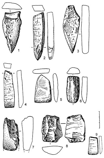 Рис.7. Каменный инвентарь поселения Вертилово 3