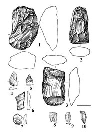 Рис.4. Предметы из сланца (1–4), кремня (5–9) и кварца (10)