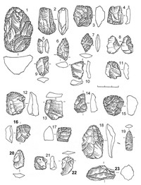 Рис.23. Инвентарь поселения Радколье 6 (1–11) и 7 (12–23). (1, 6 – сланец; 2–5 – кварц; 7, 9, 10, 15, 18, 23 – лидит; 8, 11–14, 16, 17, 19–22 – кремень)