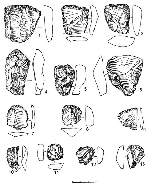 Рис.21. Предметы из кремня (1-7, 9-12) и лидита (8, 13) (раскоп №2)