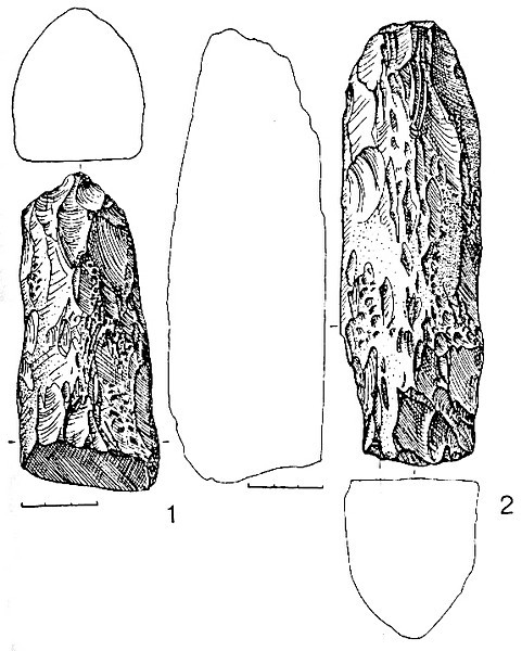 Рис.1. Заготовки орудий из сланца с поселения Вожмариха 26