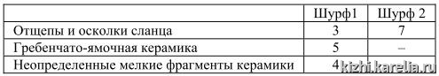 Таблица 8. Состав коллекции из поселения Ванчозеро 8