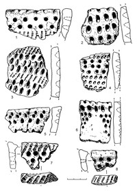 Рис.8. Керамика с гребенчато-ямочным (1, 3, 7), ямочным (2, 4, 8) и ромбо-ямочным (5–6) орнаментом из поселения Вожмариха 21