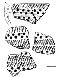Рис.8. Образцы керамики из поселения Вожмариха 1