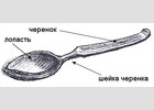 Ложка: лопасть, черенок, шейка черенка.